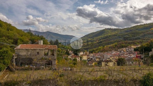 casale in vendita a Borgomaro in zona Candeasco