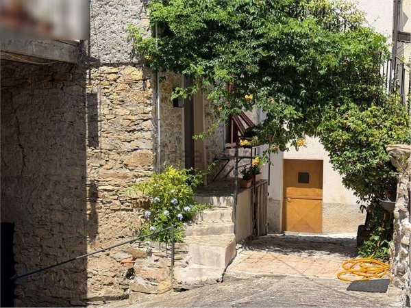 pentavano in vendita a Borgomaro in zona Candeasco