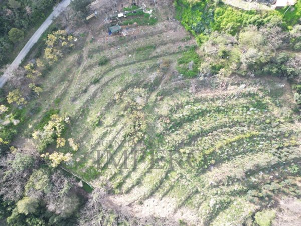 appartamento in vendita a Camporosso