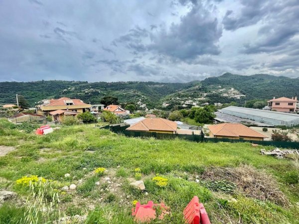 terreno agricolo in vendita a Camporosso