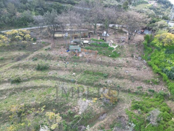 terreno agricolo in vendita a Camporosso
