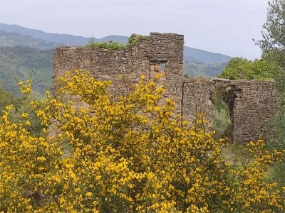 casa indipendente in vendita a Camporosso