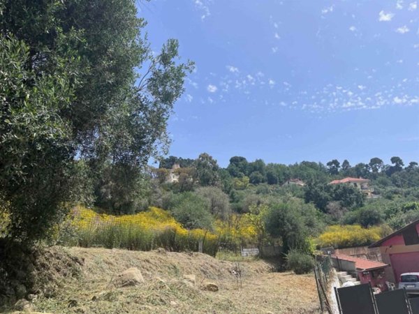 terreno agricolo in vendita a Camporosso