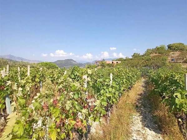 casa indipendente in vendita a Camporosso