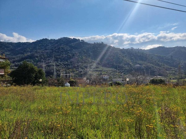 terreno agricolo in vendita a Camporosso