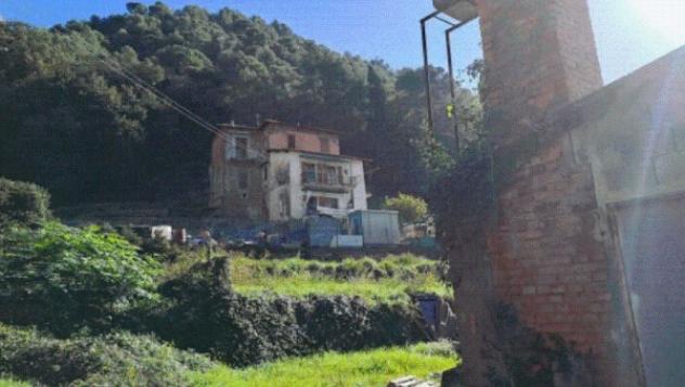 terreno agricolo in vendita a Camporosso