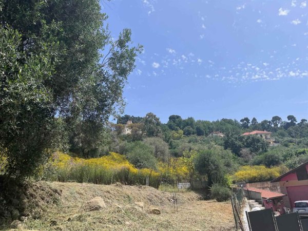 terreno agricolo in vendita a Camporosso