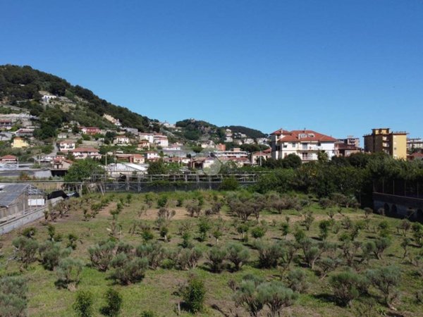 terreno agricolo in vendita a Camporosso