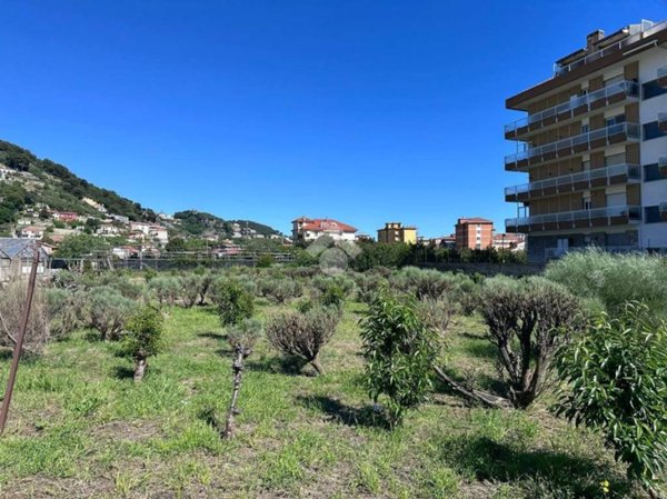 terreno agricolo in vendita a Camporosso