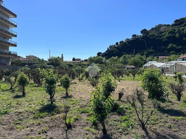 terreno agricolo in vendita a Camporosso