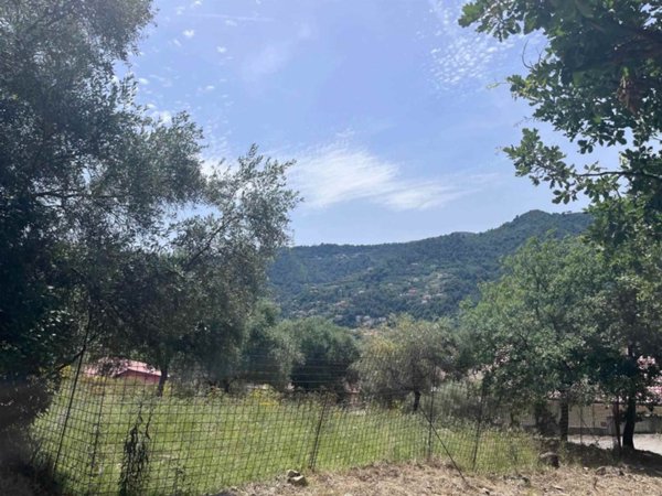 terreno agricolo in vendita a Camporosso