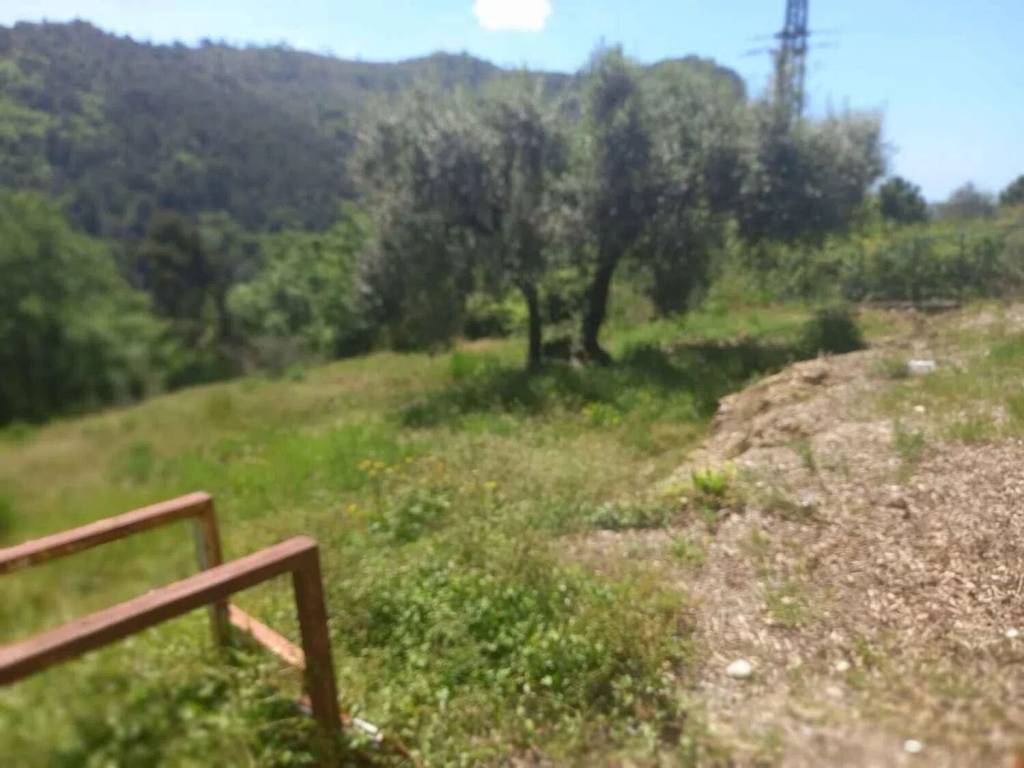 terreno agricolo in vendita a Camporosso