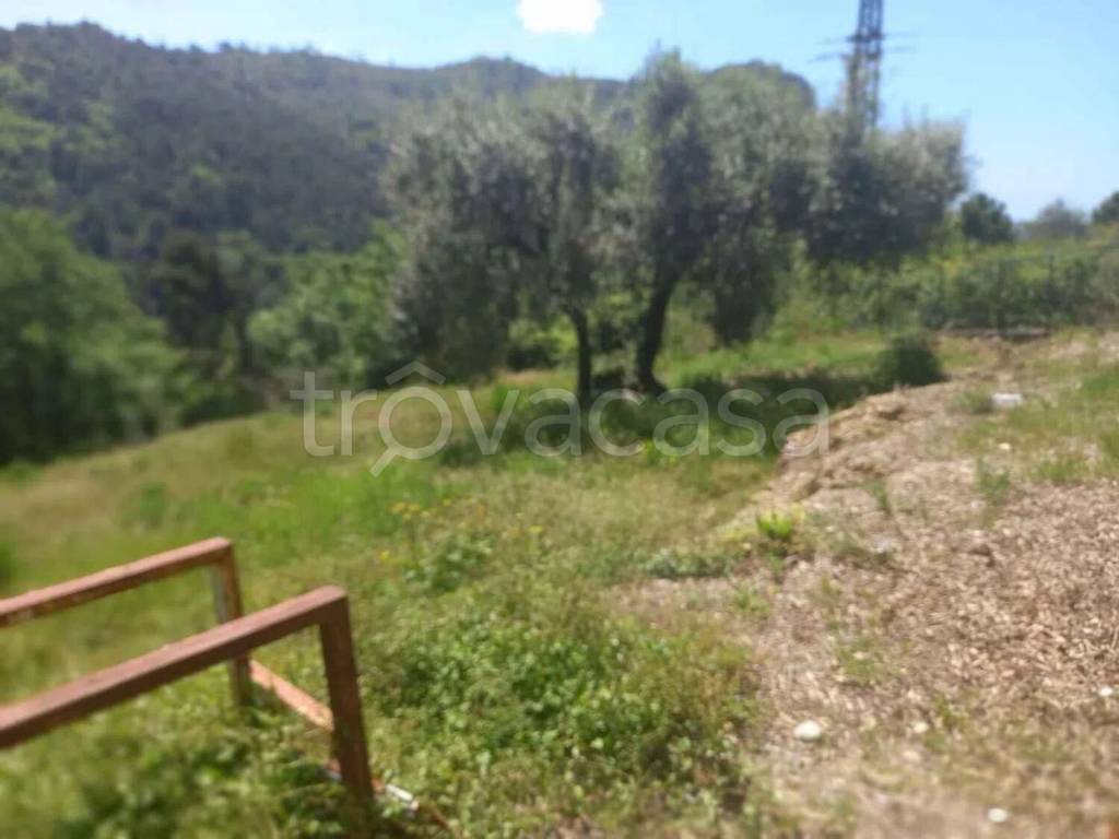 terreno agricolo in vendita a Camporosso