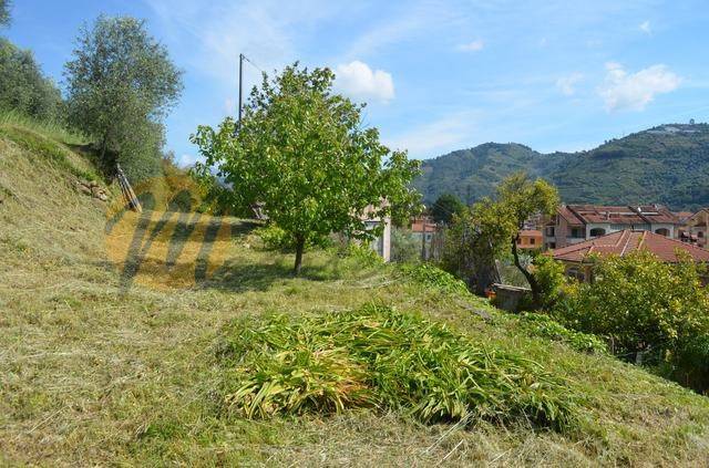 terreno agricolo in vendita a Camporosso