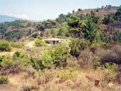 casale in vendita a Camporosso