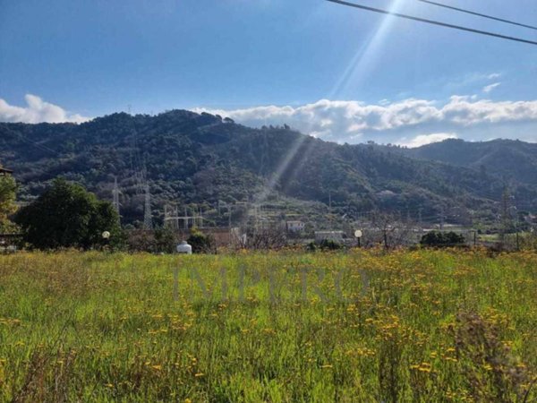 terreno agricolo in vendita a Camporosso
