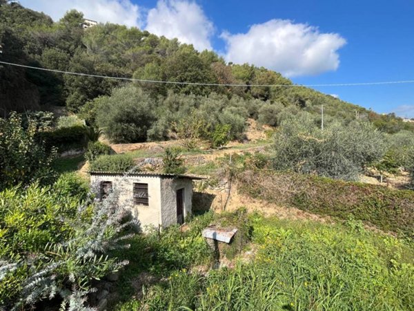 terreno agricolo in vendita a Camporosso