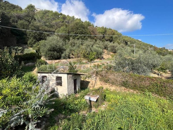 terreno agricolo in vendita a Camporosso
