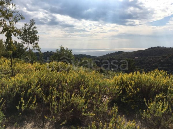 casale in vendita a Camporosso