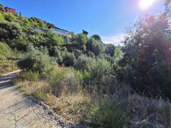 casa indipendente in vendita a Camporosso