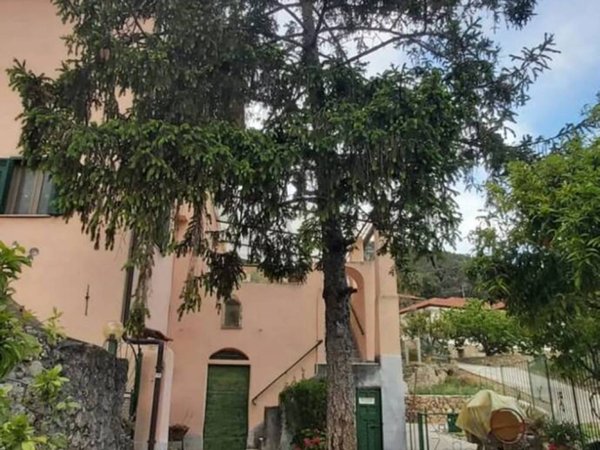 appartamento in vendita a Camporosso