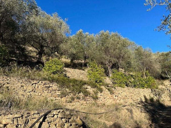 casale in vendita a Camporosso in zona Brunetti