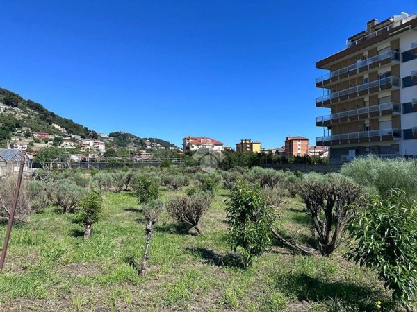 terreno in vendita a Camporosso