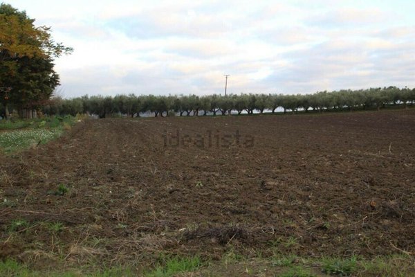 casa indipendente in vendita a Camporosso