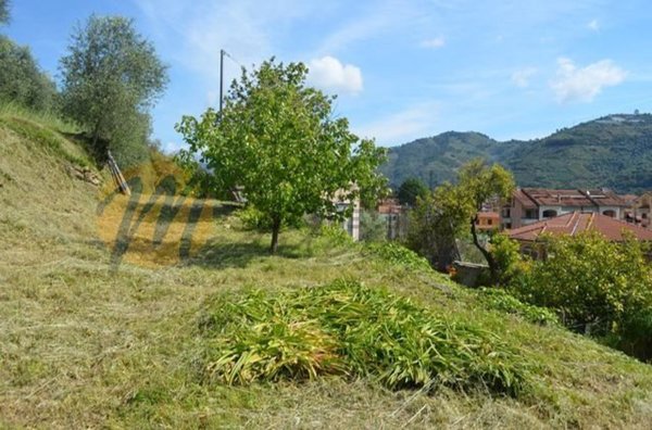 casale in vendita a Camporosso