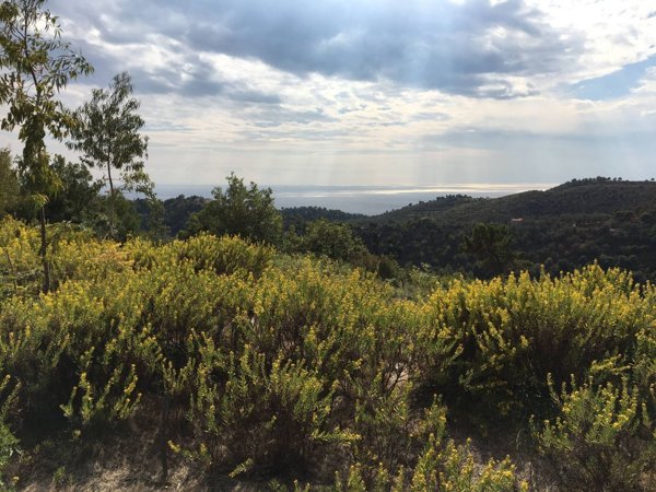 casale in vendita a Camporosso