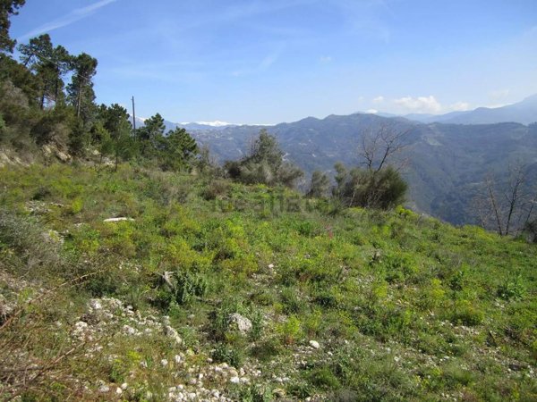 casa indipendente in vendita a Camporosso