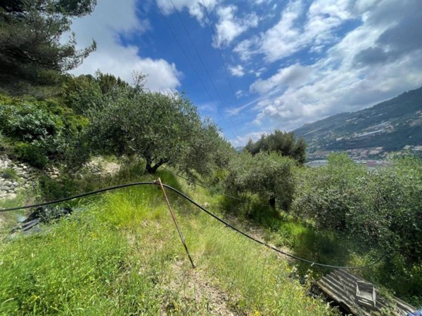 terreno edificabile in vendita a Camporosso in zona Ciaixe