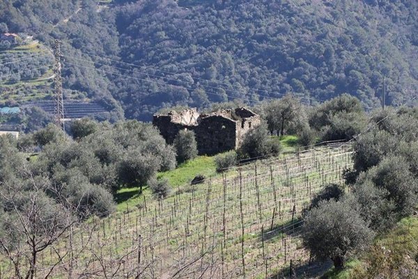 casa indipendente in vendita a Camporosso
