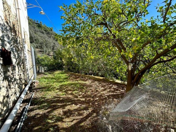 casa indipendente in vendita a Camporosso in zona Balloi