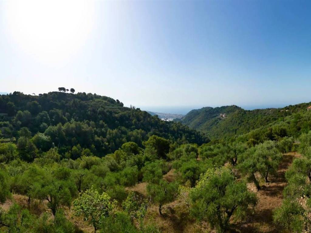 casa indipendente in vendita a Camporosso in zona Ciaixe