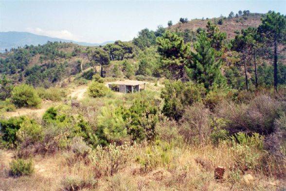 casale in vendita a Camporosso