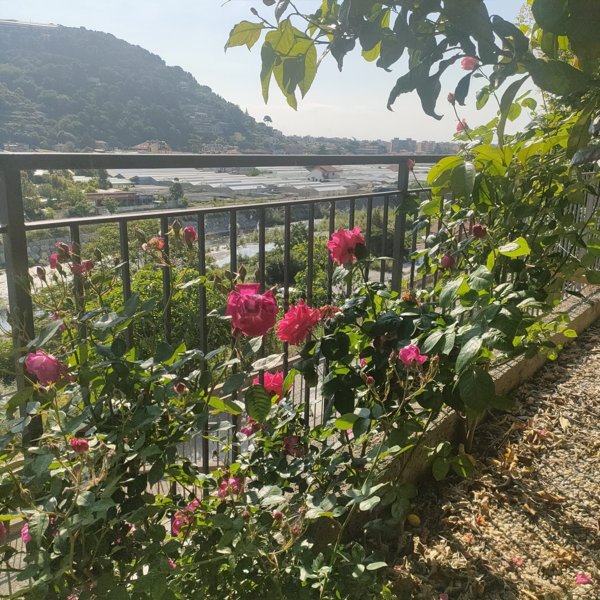 casa indipendente in vendita a Camporosso