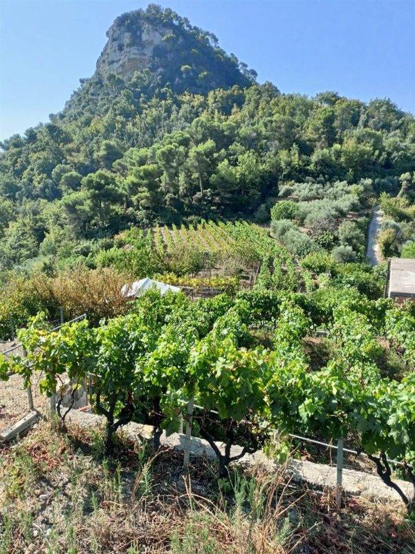 pentavano in vendita a Camporosso