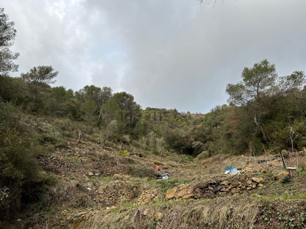 appartamento in vendita a Camporosso