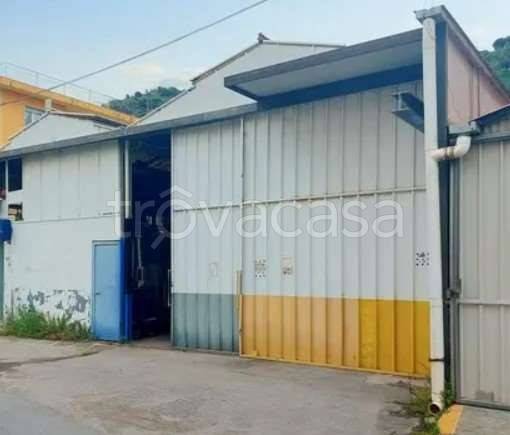 appartamento in vendita a Camporosso