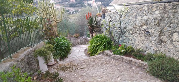 appartamento in vendita a Camporosso