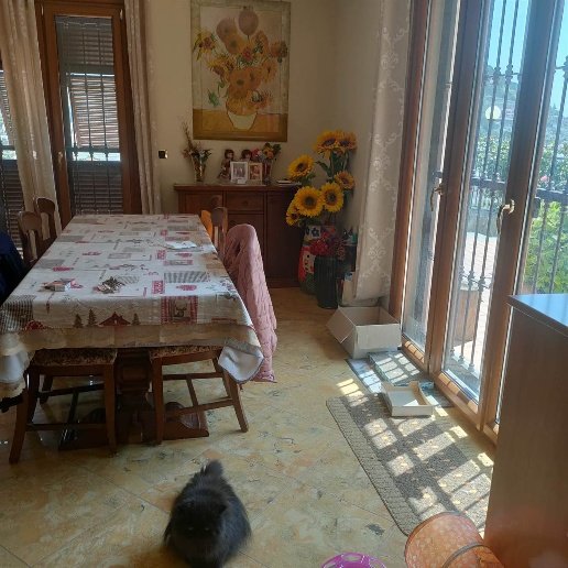 casa indipendente in vendita a Camporosso