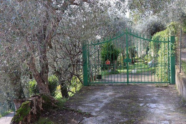 appartamento in vendita a Camporosso