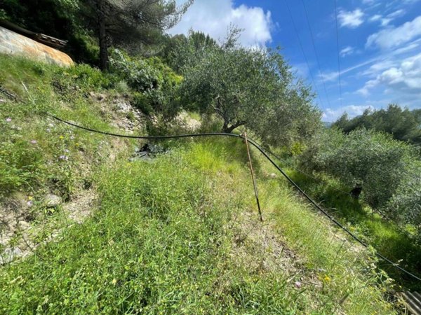 terreno agricolo in vendita a Camporosso in zona Ciaixe