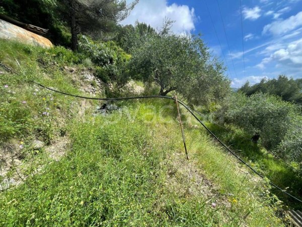 terreno agricolo in vendita a Camporosso in zona Ciaixe