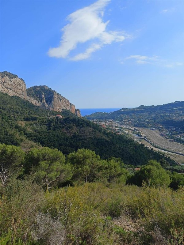 casa indipendente in vendita a Camporosso