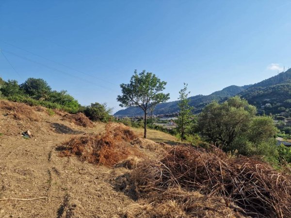 terreno agricolo in vendita a Camporosso