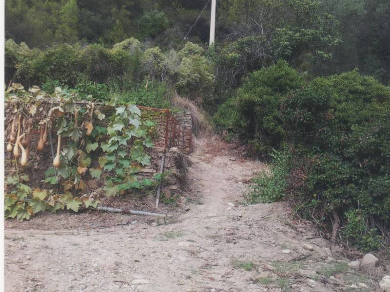 appartamento in vendita a Camporosso