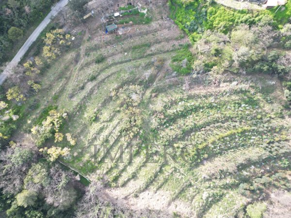 terreno in vendita a Camporosso
