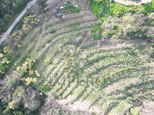 terreno in vendita a Camporosso